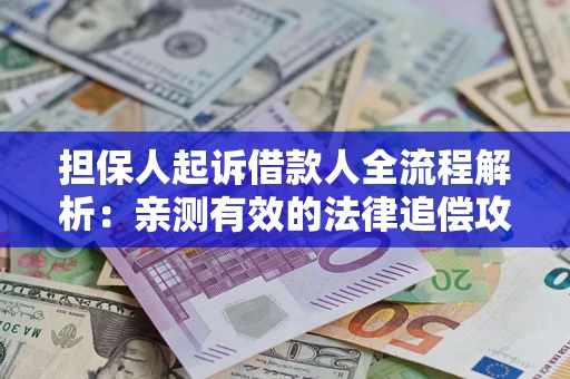 武汉担保人起诉借款人全流程解析：亲测有效的法律追偿攻略